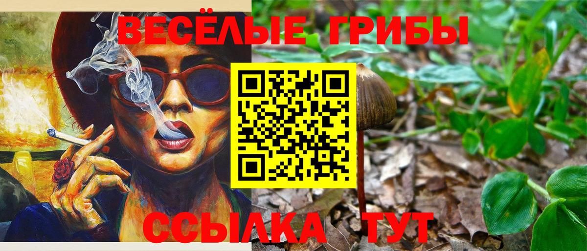 Серпухов  Псилоцибиновые грибы Magic Shrooms  наркошоп  Вход с VPN 