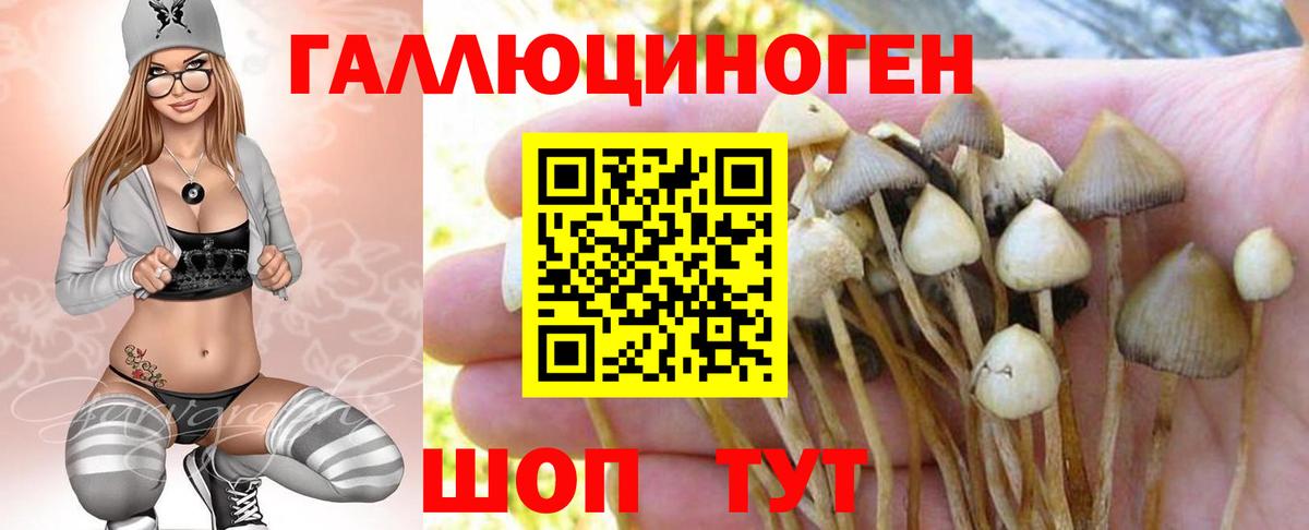 Галлюциногенные грибы мицелий Серпухов